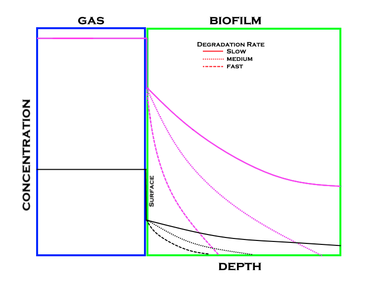 solid biofiltration
